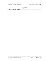 Giải pháp nâng cao hiệu quả sử dụng vốn kinh doanh của  công ty TNHH Thành Đô