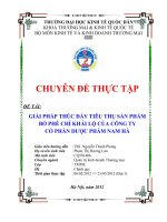 Giải pháp thúc đẩy tiêu thụ sản phẩm Bổ phế Chỉ khái lộ của Công ty cổ phần dược phẩm Nam Hà