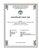 THÚC ĐẨY ĐẦU TƯ RA NƯỚC NGOÀI CỦA TẬP ĐOÀN VIỄN THÔNG VIETTEL – KINH NGHIỆM TỪ DỰ ÁN ĐẦU TƯ TẠI CAMPUCHIA