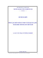 Phân lập, nhân nuôi in vitro và bảo quản lạnh tế bào biểu mô ống dẫn trứng bò