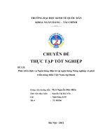Phát triển dịch vụ Ngân hàng điện tử tại ngân hàng Nông nghiệp và phát triển nông thôn Việt Nam-Agribank