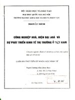 Công nghiệp hoá, hiện đại hoá và sự phát triển kinh tế thị trường ở Việt Nam