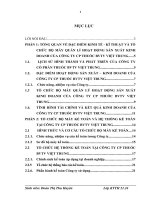 Tổng quan về đặc điểm kinh tế - kĩ thuật và tổ chức bộ máy quản lý hoạt động sản xuất kinh doanh của Công ty CP thuốc BVTV Việt  Trung.