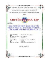 Giải pháp thúc đẩy hoạt động tiêu thụ sản phẩm bia Halida Draught của Liên doanh nhà máy bia Đông Nam Á