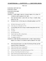 Phân tích hiệu quả hoạt động kinh doanh của Công ty cổ phần chứng khoán Tân Việt
