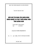 Luận án Hiệu quả tín dụng của Ngân hàng Nông nghiệp và Phát triển nông thôn tỉnh Quảng Nam