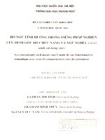 Bổ ngữ tình huống trong tiếng Pháp nghiên cứu dưới góc độ chức năng và ngữ nghĩa