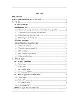 Thực trạng điều hành chính sách tỷ giá của Ngân hàng Nhà nước Việt Nam