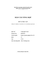 Báo cáo thực tập tổng hợp tại Công ty TNHH Tư vấn đầu tư và thương mại PACO