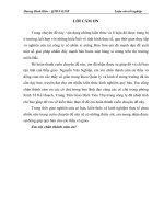 Giải pháp nâng cao hiệu quả tiêu thụ sản phẩm của Công Ty Cổ Phần Xi Măng Bỉm Sơn tại thị trường miền Bắc