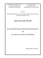 Chuyên đề nghiên cứu đặc điểm thực vật, hóa học, công dụng cây Ngưu tất