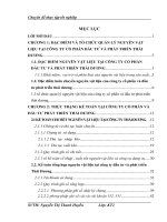 Kế toán nguyên vật liệu, Công cụ dụng cụ tại công ty cổ phần ĐTPT Thái Dương