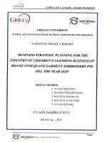 Busines strategy planning for the industry of children's clothing business of Hoang Vinh Quang Garment Embroidery PTE till the year 2018