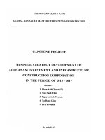 Business strategy development of Alphanam Investment and Infrastructure Construction Corporation in the period of 2013-2017