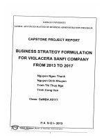 Business strategy formulation for VIGLACERA Sanfi Company from 2013 to 2017