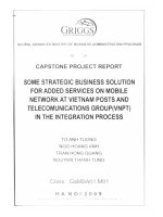 Some strategic business solution for added services on mobile network at Vietnam posts and telecomunications group (VNPT) in the integation process