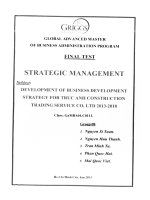 Development of business development strategy for Truc Anh Construction Trading Service Co., Ltd 2013-2018