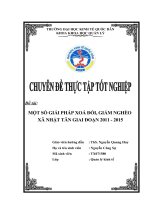 Một số giải pháp xoá đói, giảm nghèo xã Nhật Tân – Kim Bảng – Hà Nam.