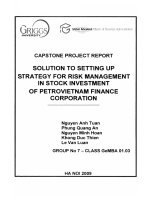 Solution to setting up strategy for risk management in stock investment of petrovietnam finance corporation