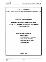 Building business-level strategy VIGLACERA Mineral Joint Stock Company period 2010-2015