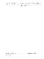 kế toán bán hàng và xác định  kết quả bán hàng tại công ty TNNHH Tân Đại Hồng Nam