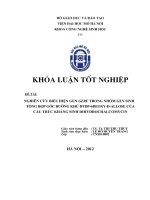 Nghiên cứu biểu hiện gen GerF trong nhóm gen sinh tổng hợp gốc đường khử dTDP-6deoxy-D-Allose của cấu trúc kháng sinh Dihydrochalcomycin.