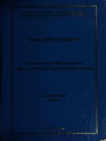 Chiến lược phát triển kinh doanh Công ty Cổ phần chế tạo thiết bị điện Cẩm Phả