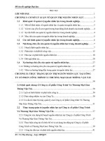 Giải pháp nâng cao hiệu quả quản trị nguồn nhân lực tại công ty cổ phần Công Trình Và Thương Mại Giao Thông Vận Tải