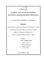 Building the business strategy for Power Engineering Consulting Joint Sttock Company 3 (PECC3) period of 2014-2018