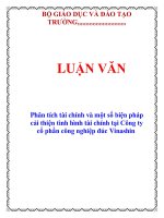 Phân tích tài chính và một số biện pháp cải thiện tình hình tài chính tại Công tycổ phần công nghiệp đúc Vinashin