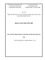 Chuyên đề nghiên cứu đặc điểm thực vật, hóa học, công dụng của cây Ngân hoa