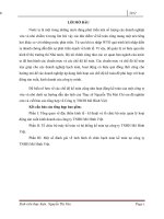 Tổng quan về đặc điểm kinh tế - kĩ thuật và tổ chức bộ máy quản lý hoạt động sản xuất kinh doanh của công ty TNHH Mô Hình Việt.