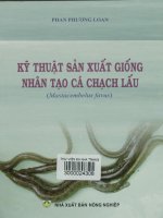 Kỹ thuật sản xuất giống nhân tạo cá chạch lấu (Mastacembelus favus)