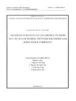 Business strategy of LPG products from2012 to 2015 of Petro Vietnam Southern Gas Joint Stock Company
