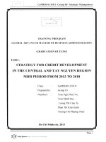 Strategy for credit development in the Central and Tay Nguyen region MHB period from 2013 to 2018