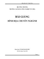 BÀI GIẢNG HÌNH HỌA CHUYÊN NGHÀNH