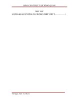 Báo cáo tổng quan về công ty cổ phần thép việt ý