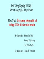 Ứng dụng công nghệ tái tổ hợp DNA để sản xuất insulin