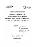 Restructuring in the development strategy of VietNam joint stock commercial bank for industry and trade