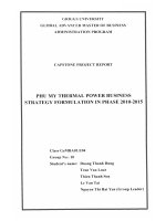 Phu My thermal power business strategy formulation in phase 2010 - 2015