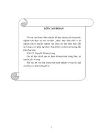 Hoàn thiện chuỗi cung ứng phân phối sản phẩm của công ty cổ phần Thạch Bàn sang thị trường Mỹ