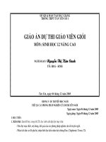 Giáo án dự thi giáo viên giỏi: Môn sinh học 12 nâng cao