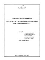Strategies of Catfish Brand in US Market for Vinafish Company
