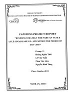 Business strategy for Nghe An Tate & Lyle Sugarcane Co., Ltd within the period of 2013-2018