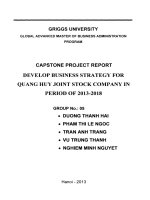 Develop busines strategy for Quang Huy joint stock company in period of 2013-2018