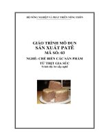 Giáo trình Chế biến các sản phẩm từ thịt gia súc