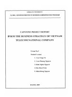 Form the business strategy of Vietnam Telecom National Company