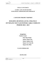 Building business-level strategy of NEXANS Viet Nam Power Cable Company period 2010-2015