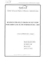 Business strategy for Bach Viet Food Industries Ltd. in the peiod of 2014-2018