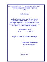 Phân lập, xác định yếu tố gây bệnh, serotype và độc lực của vi khuẩn escherrichia coli và salmonella SP  gây bệnh tiêu chảy và bại huyết ở lợn sau cai sữa nuôi tại một số tỉnh phía bắc